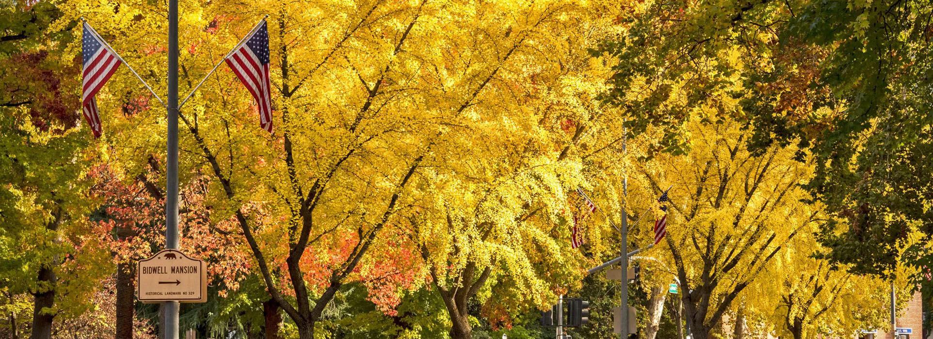 Mark G. Womack, DDS | About Bone Grafting, Jaw Bone Health and Apicoectomies